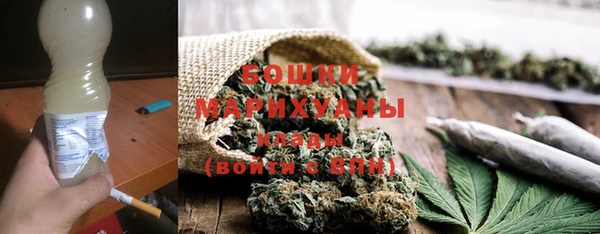 2c-b Горно-Алтайск